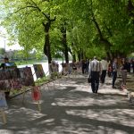 сакура-фест2