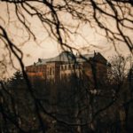 15027738_650551685126980_2815393294940576774_n